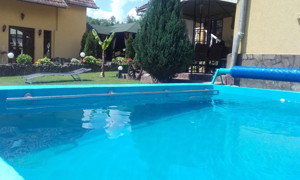 Casa De Vacanta Silvia Varmaga Bagian luar foto