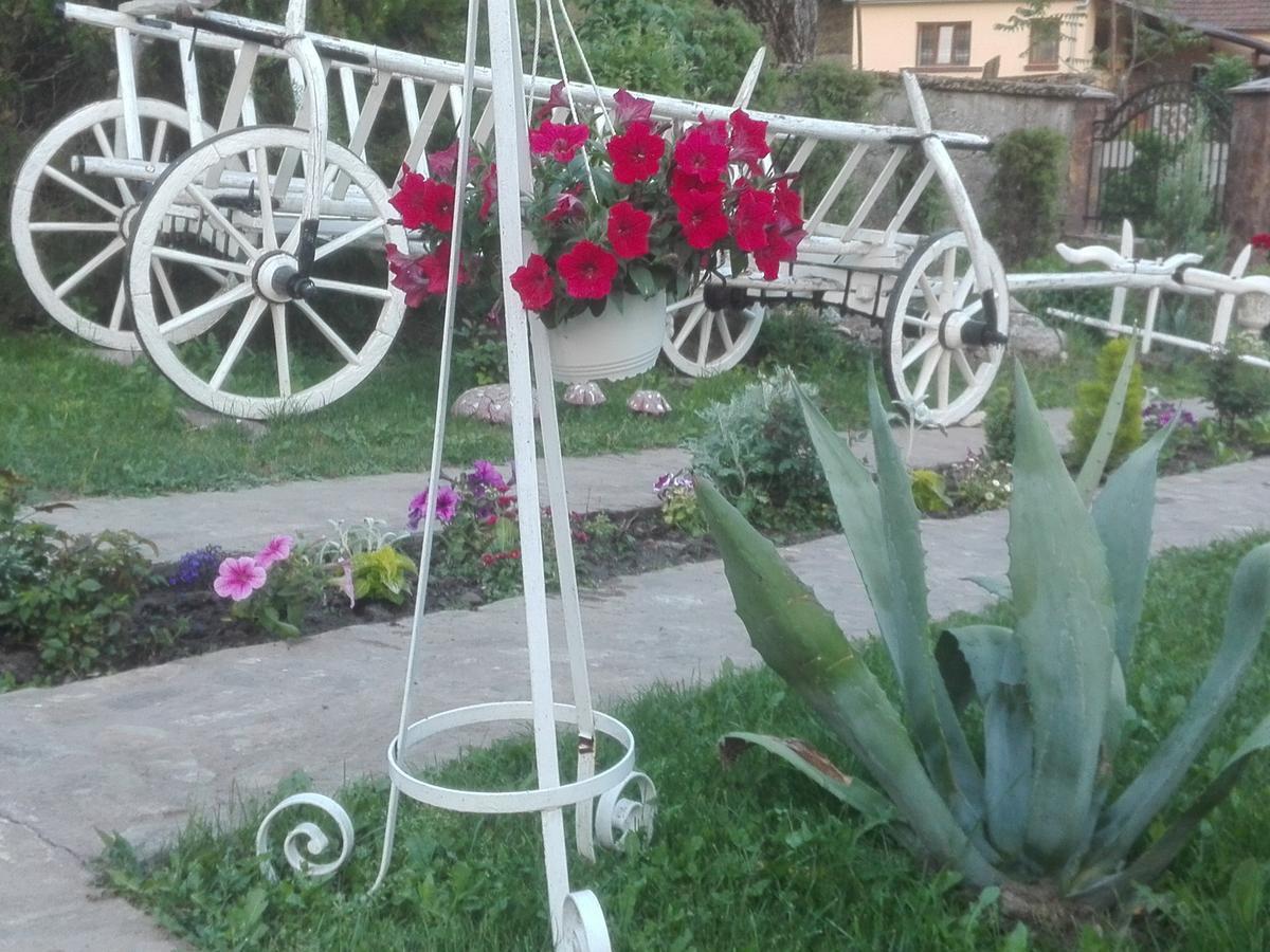 Casa De Vacanta Silvia Varmaga Bagian luar foto