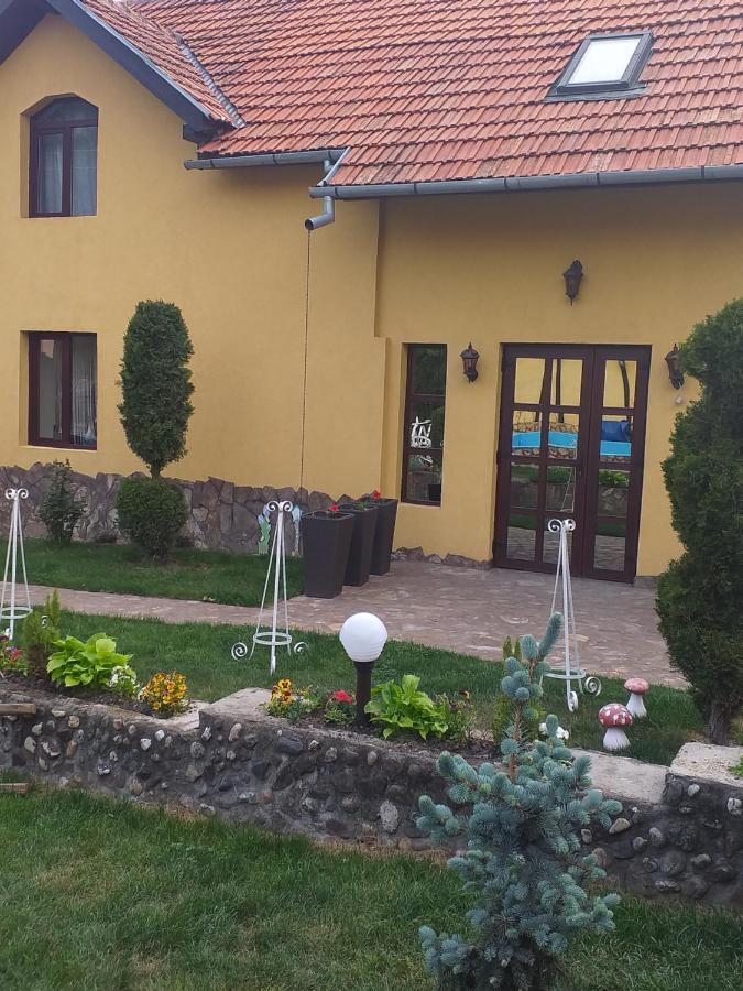 Casa De Vacanta Silvia Varmaga Bagian luar foto