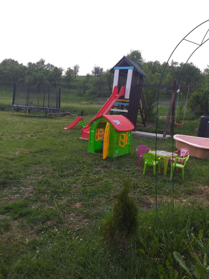 Casa De Vacanta Silvia Varmaga Bagian luar foto